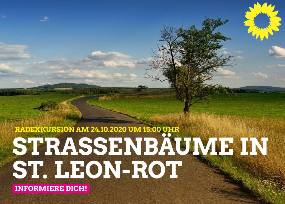 Straßenbäume in St. Leon-Rot – Ein Plus für Gemeindebild und Klima