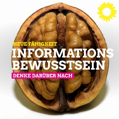 Informationsbewusstsein