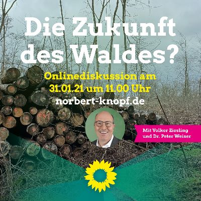 Die Zukunft des Waldes